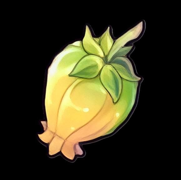 cabbage