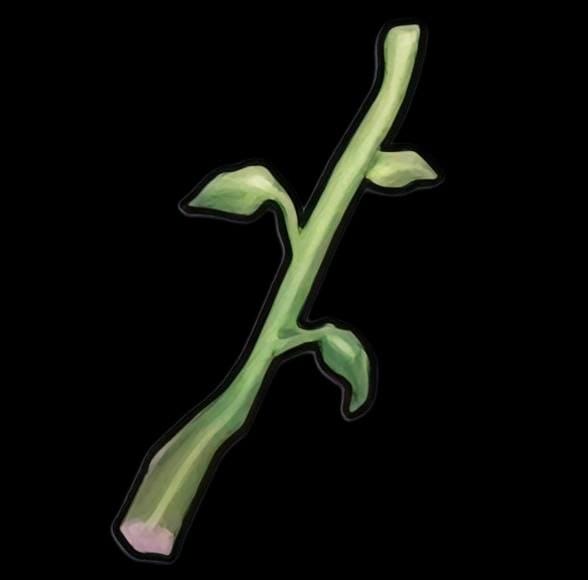 magic_spore_stem