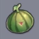 Moai Melon